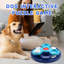 Jouets pour chiens