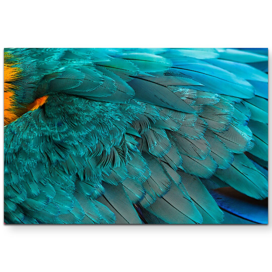 Leinwandbild Macaw Plumage