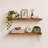 Set of 2 Acacia Wood Floating Shelves - Rustic Wall Storage with Mounting Brackets-1838313560-1838313561
