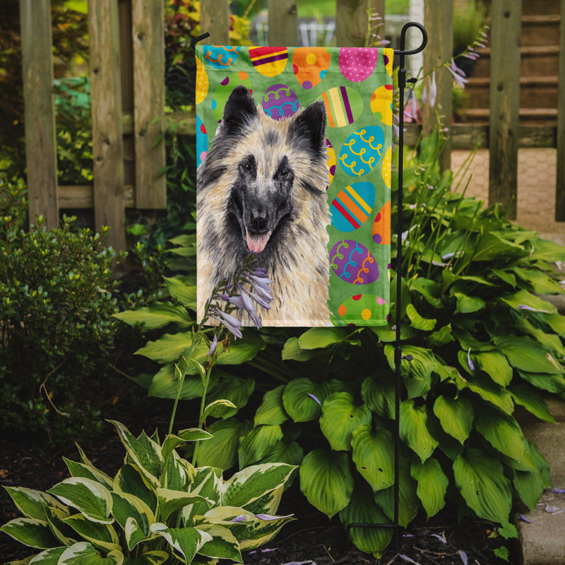 Drapeau de jardin Atara, Tervuren belge