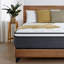 Matelas pour canapé-lit en mousse à mémoire de forme moyenne 14 po Alwyn Home Antwi-485456256-535792242