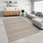 Brown/Beige Indoor/Outdoor Rug-92872197
