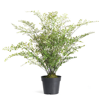 Faux Fern Plant in Planter