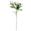 Antoan Arrangement