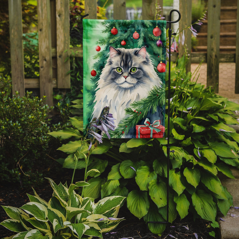 Drapeau de jardin Pixie Bob, British Longhair