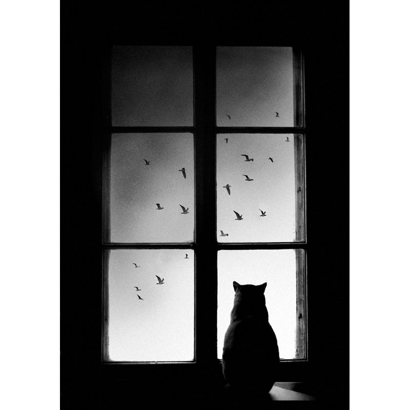 Wrapped Canvas Print, 60.96 cm H x 91.44 cm W