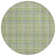 Plaid Indoor / Outdoor Rug