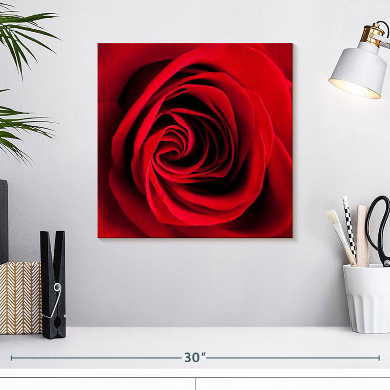 Arney Red Rose In Bloom, 16" H x 16" W