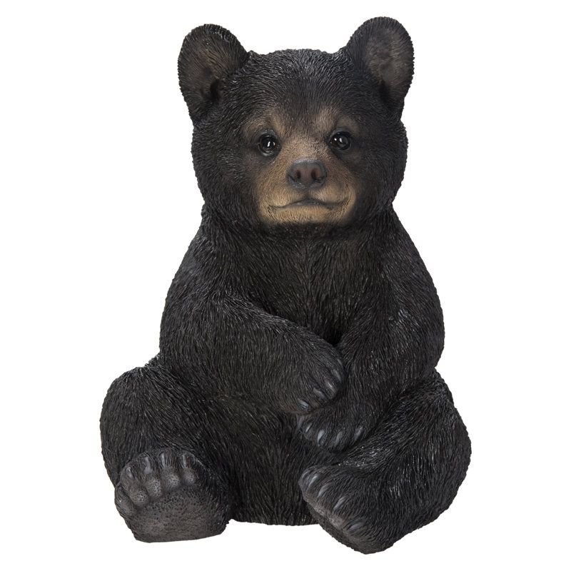 Sitting Black Bear Cub
