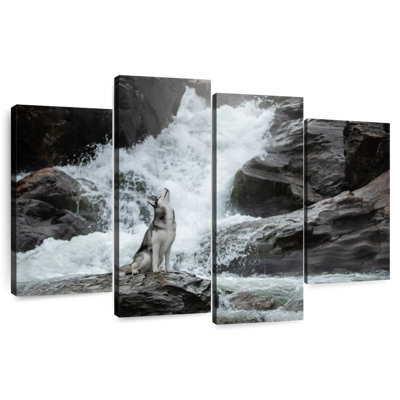 Alvord Husky By Waterfall