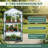 Ailsa Tier Mini Greenhouse - Portable Greenhouse with Rust-Resistant Frame PVC Cover