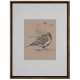 Dove Rest X Print by Daughdrill