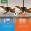 60" Fellini 5 - Blade Standard Ceiling Fan with Wall Control