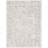 Oriental Indoor Rug-1845358920