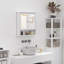 Grasston Surface Framed Mirrored Bathroom Cabinets with Mirror and 1 Adjustable Shelves