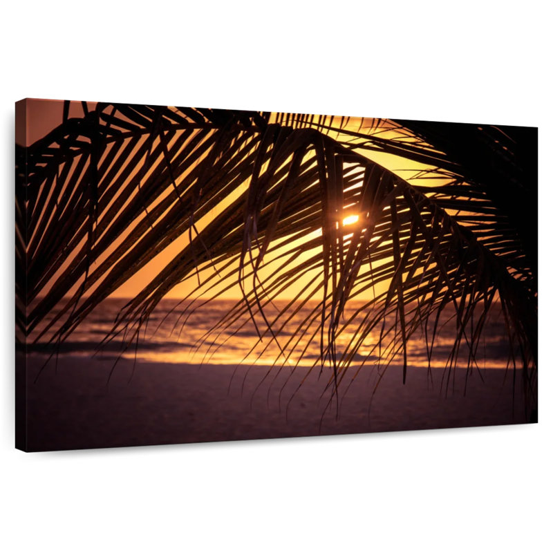 Aruba Palm Gillard Sunset, 8" H x 12" W