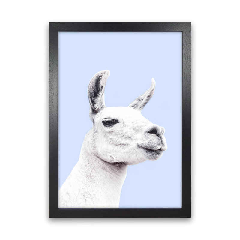 Blue Llama by Victoria Frost - Print, 63cm H x 46cm W x 3cm D, Black Framed