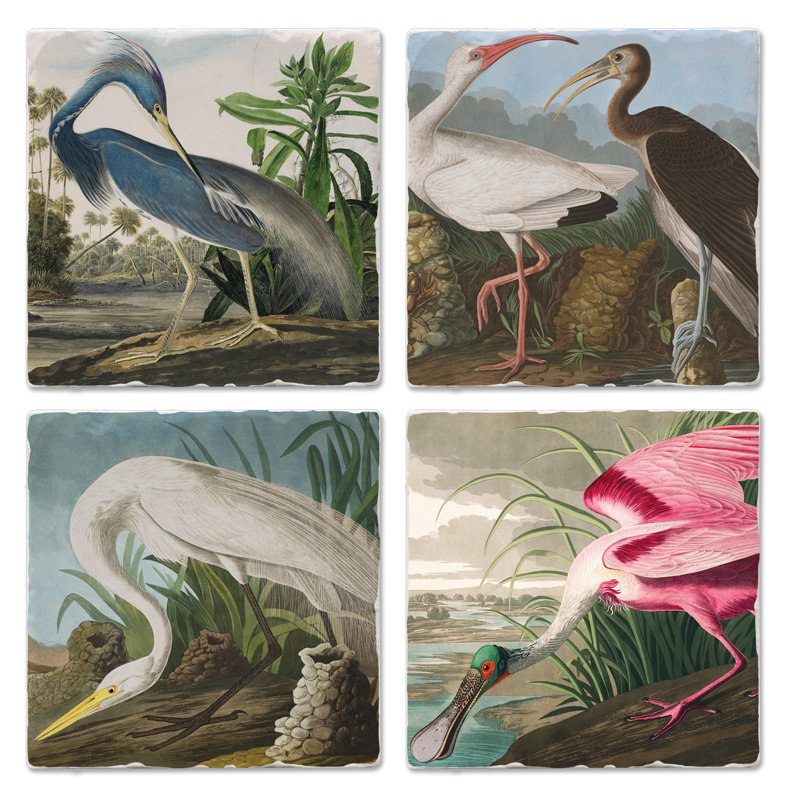 Ensemble de 4 sous-verres Thubystone John James Audubon