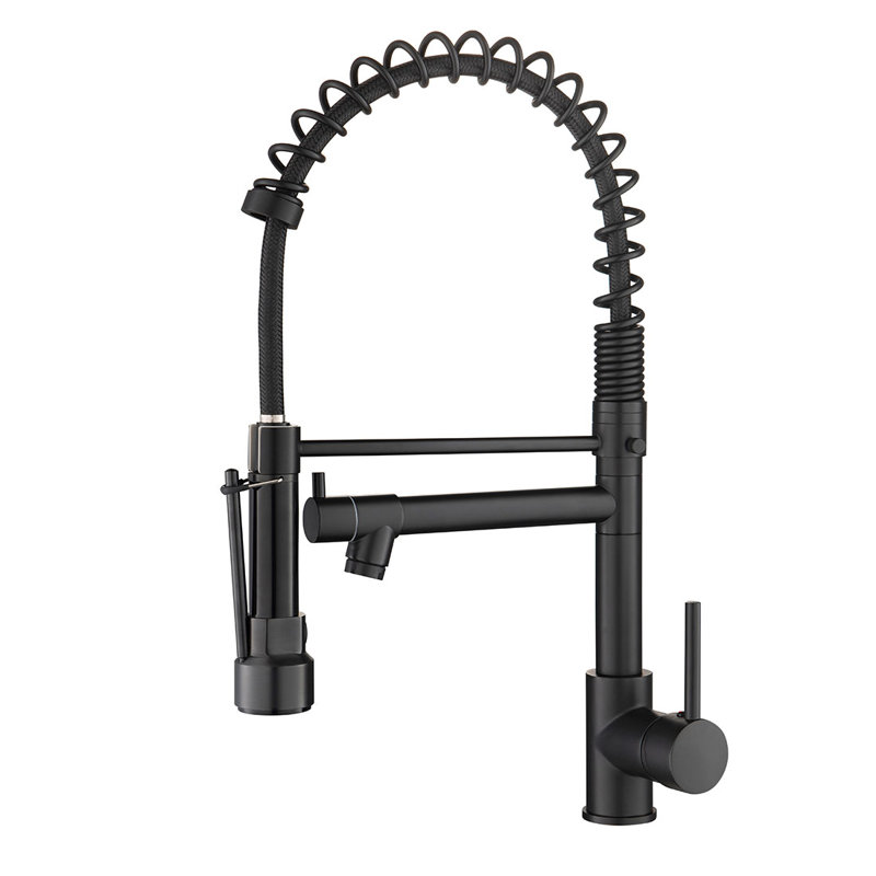 FLG Pull Down Kitchen Faucet