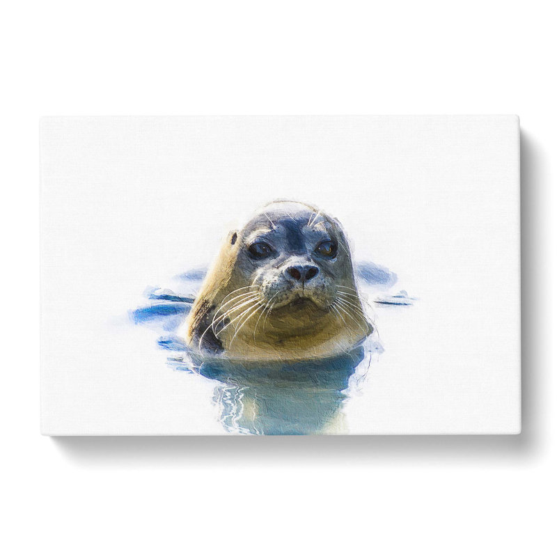 Grey Seal - Wrapped Canvas Painting, 50cm H x 76cm W x 3cm D