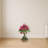 Bougainvillea Topiary with Wood Planter