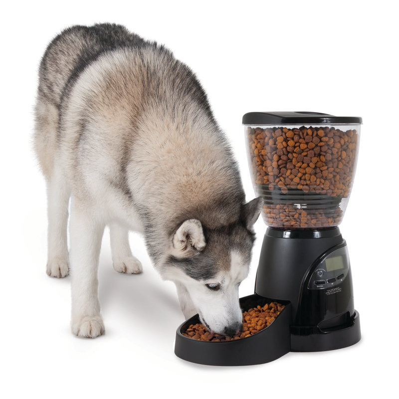 Large Black Programmable Automatic Pet Feeder