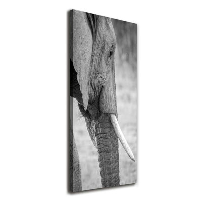 Elephant - Wrapped Canvas Print