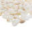 Pacif 0.39" x 0.79" Seashell Mosaic Wall Tile