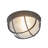 1-light 9-inch Outdoor Ceiling Mount Light, Black Aluminum Frame With Clear Glass Shade