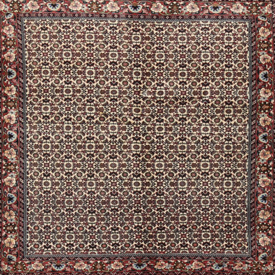 Oriental Indoor Rug