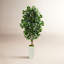 Faux Ficus Tree in Clay Planter-1603237892-1603237893