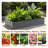 6x3x1 FT Galvanized Metal Raised Garden Bed, Rustproof and Weather-Resistant for Vegetables, Flowers, Herbs, and Succulents