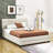 Queen Upholstered Platform Bed with Two Drawers and Twin Trundle  
