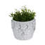 Motif floral en céramique Adeline Planter-1817239596-1817239597