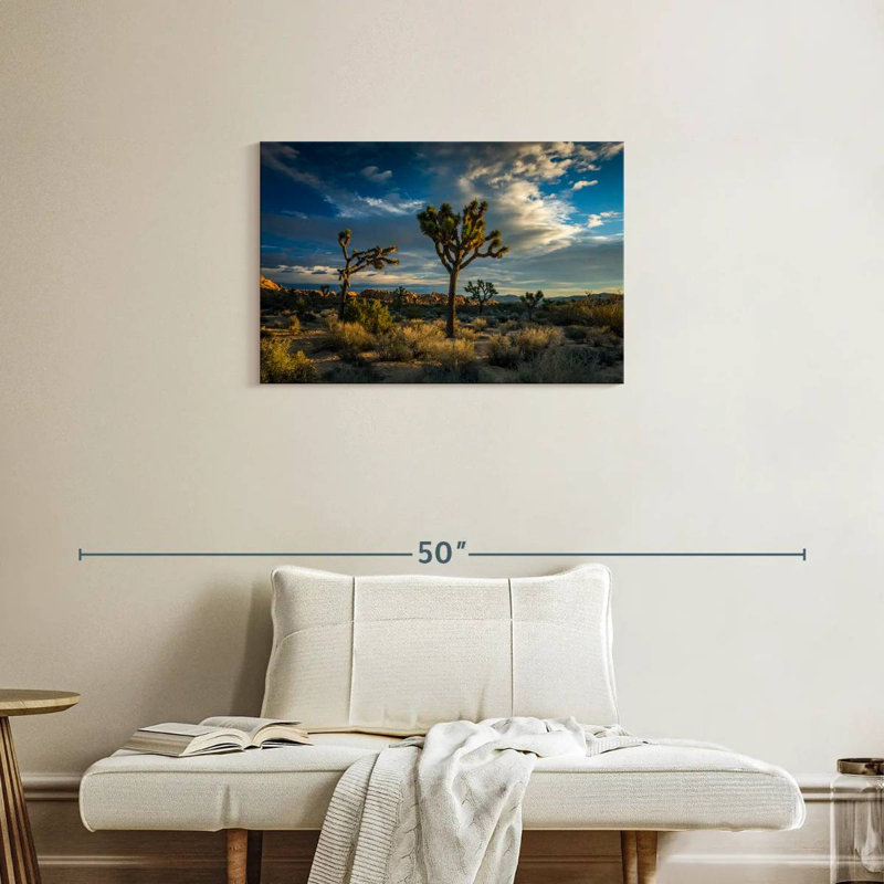 Paysage du parc national Ravi Joshua Tree, H 20 po x l 30 po