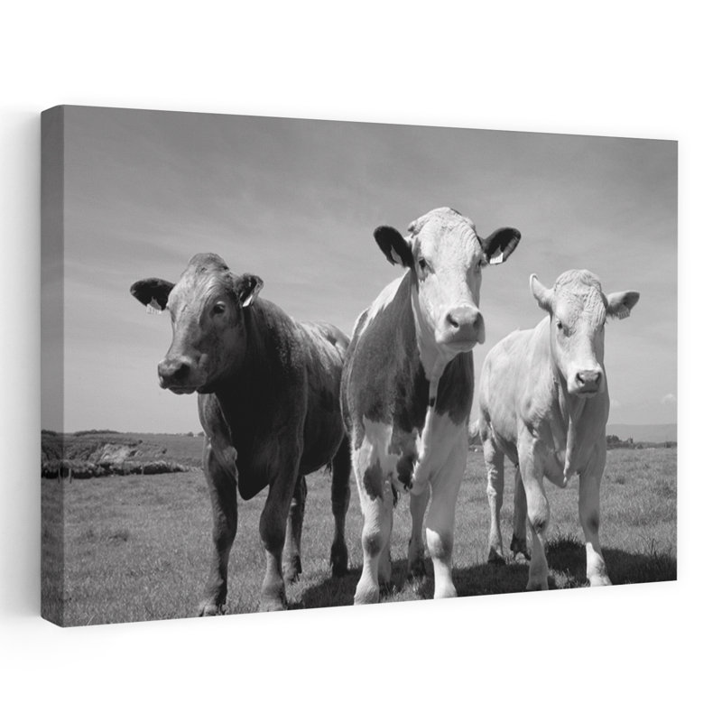 Art contemporain de Catt County, Waterford, Irlande, paysage contemporain, H 16 po x l 24 po
