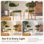 Chaise d'appoint rembourrée en bois massif-133229329-133229330