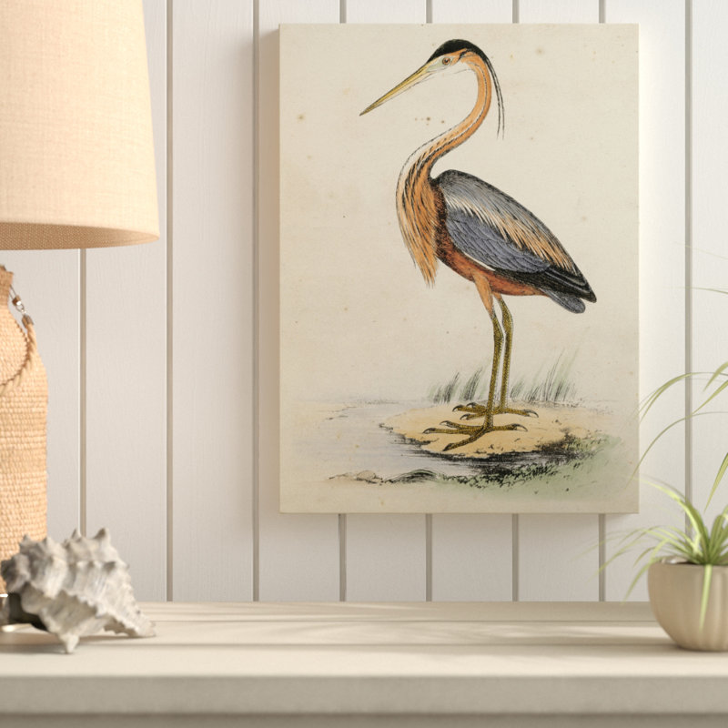 «Antique Heron II» par World Art Group, reproduction d'art graphique sur toile, H 32 po x l 24 po x P 2 po