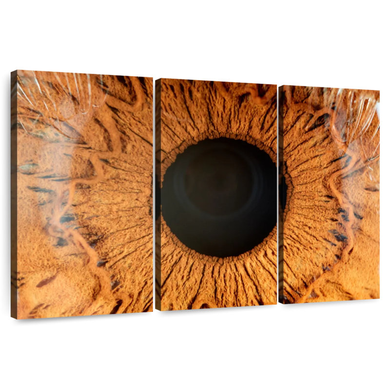 Alcaraz Brown Iris, 36" H x 57" W