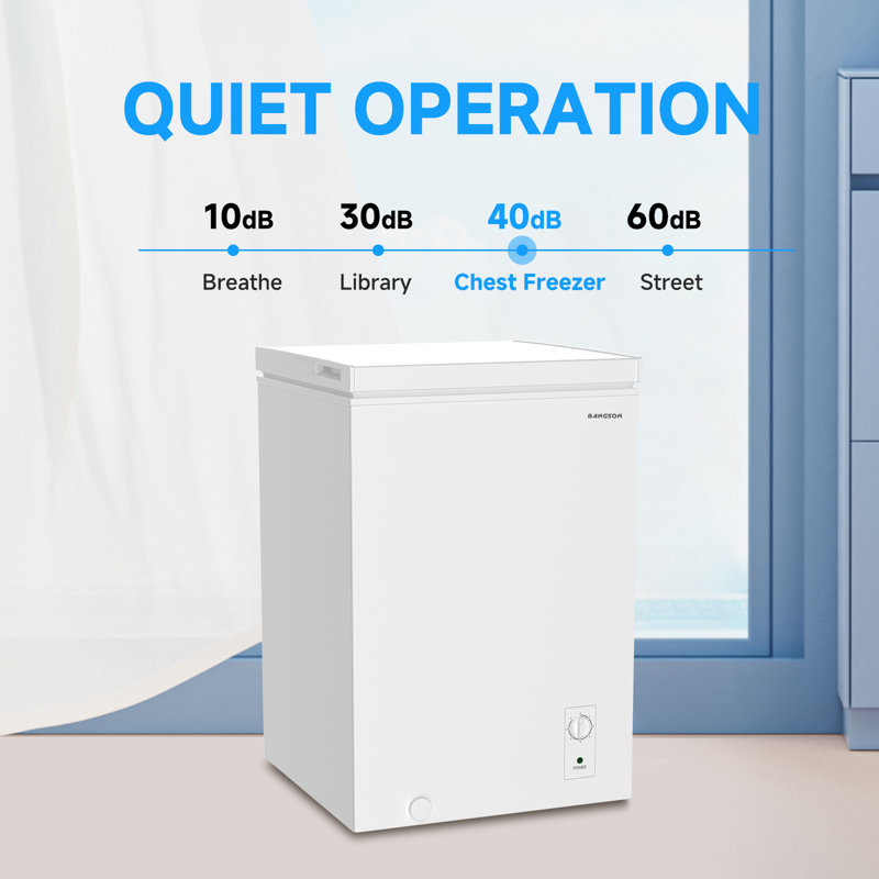 Petit congélateur coffre avec congélateur pour panier, maison, cuisine et appartement de 3,5 pieds cubes BANGson, Blanc