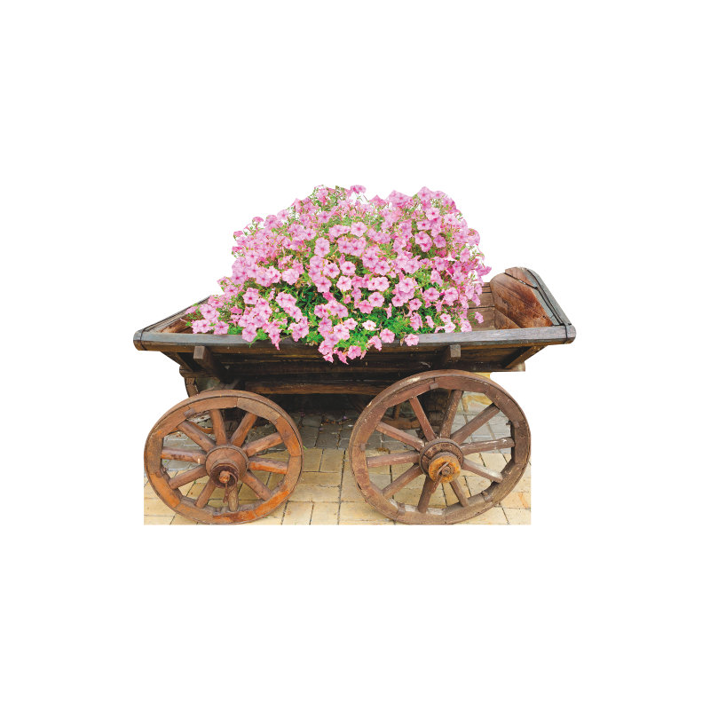 Lit de fleurs SP13119