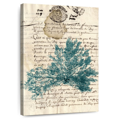 Algue Brampt rétro bleu sarcelle III