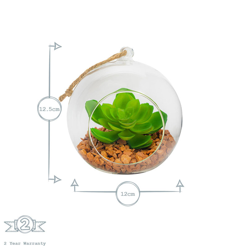 Nicola Spring - Hanging Glass Terrariums - Clear, 12.5cm H x 12cm W x 12cm D