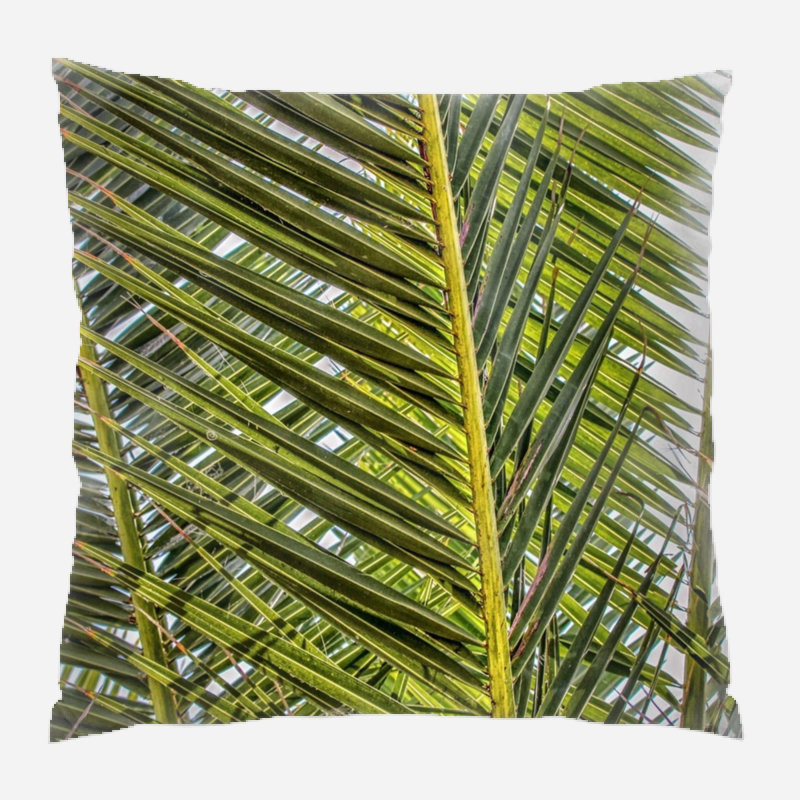 Coussin décoratif palm frondes