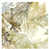 Image Brush Gel selected