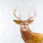 Abstract Deer Tablecloth | Contemporary Indoor Outdoor Decor