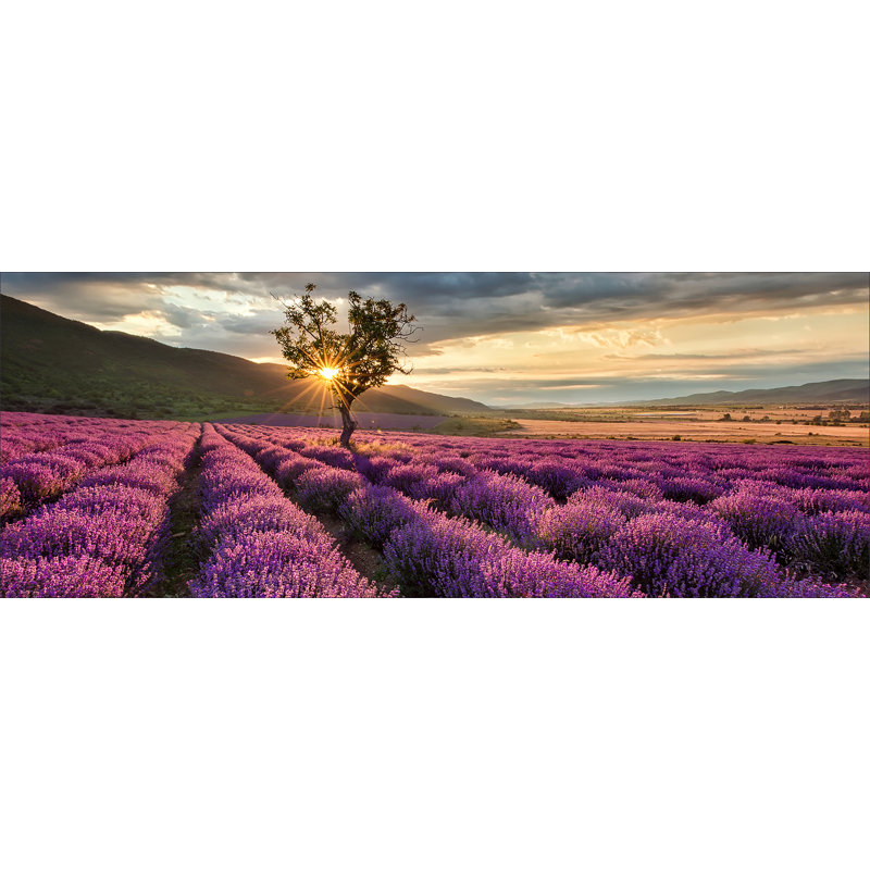 No Frame Print on Canvas, 50 cm H x 125 cm W x 1.4cm D