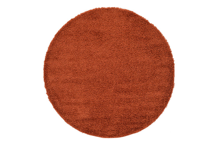 Mcallier Terracotta Indoor Use Only Rug