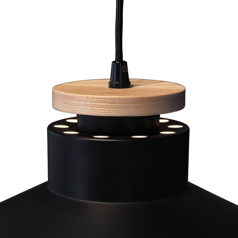 Jaynes 1 - Light Single Pendant, Black