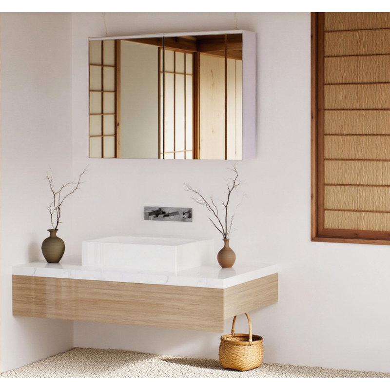 Miroir de salle de bain mural à double porte avec tablettes réglables, l 31,5 po x P 6 po, H 23,5 po, blanc, surface de rangement en bois avec miroir, blanc, utilisation quotidienne